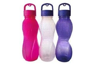 Water Bottle WB24